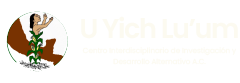 U Yich Lu'um