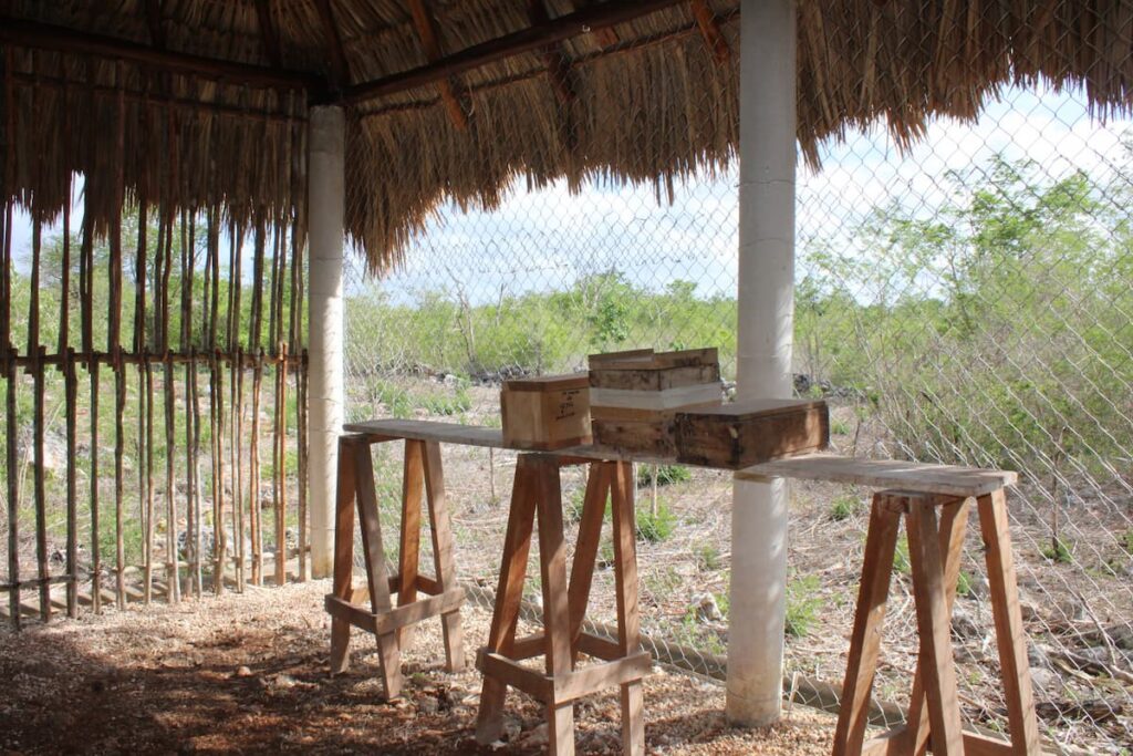 Centro Agroecologico (4)