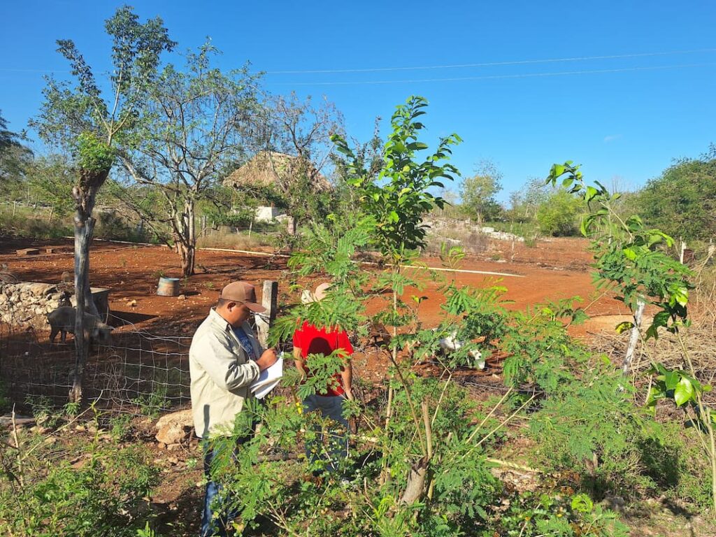 Centro Agroecologico (7)